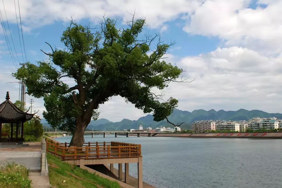 2018常山旅游大事記盤點(diǎn) 當(dāng)我們一起走過，共繪油茶之鄉(xiāng)新畫卷