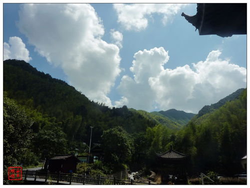 常山梅樹底 一場未經(jīng)雕飾的山野漫游記（上）